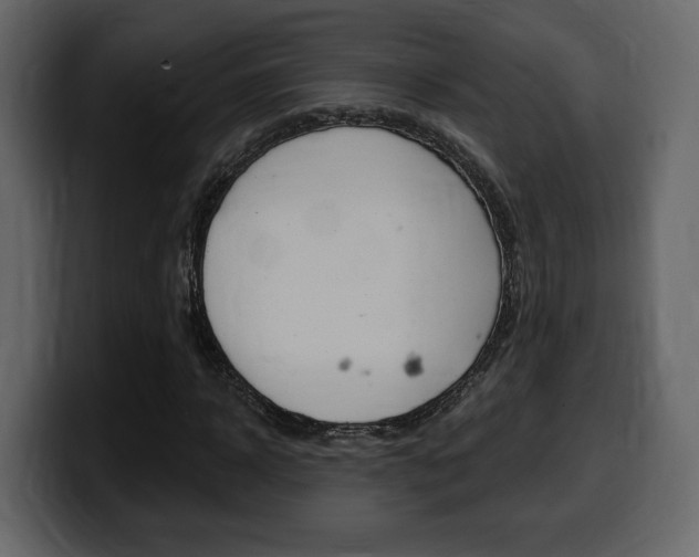 X0000099580918200805160743