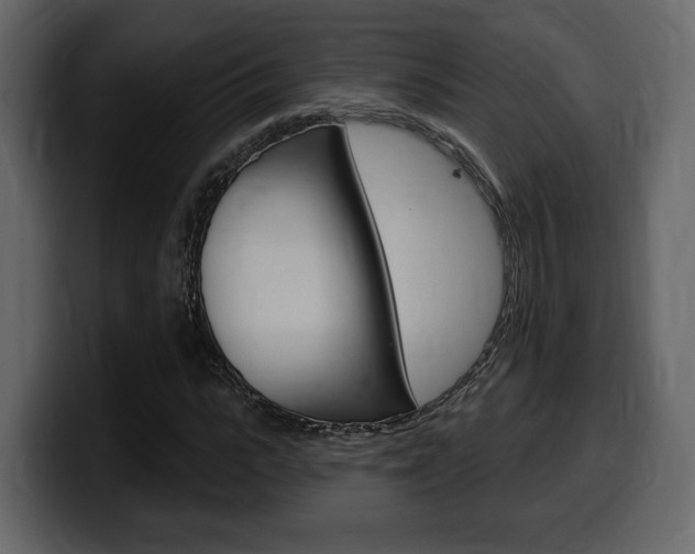 X0000099580919200805160743