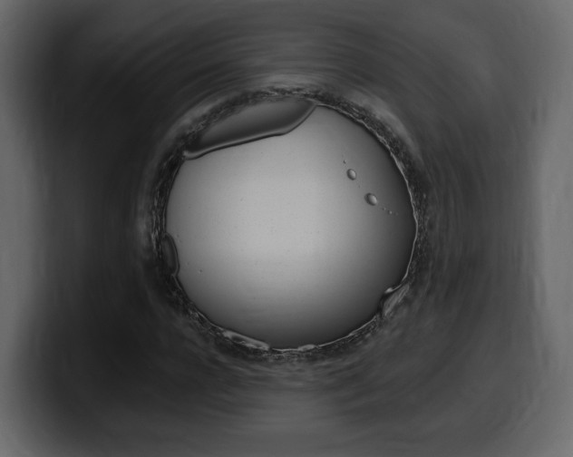 X0000099580920200805160743