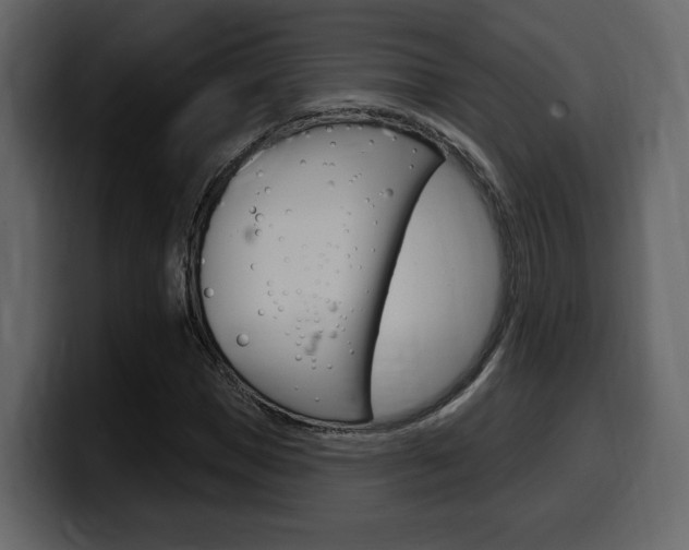 X0000099580921200805160743