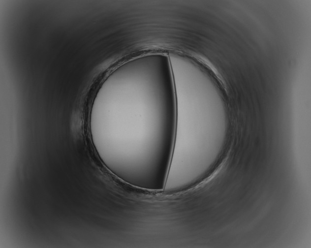 X0000099580922200805160743