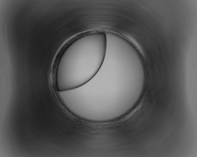 X0000099580924200805160743