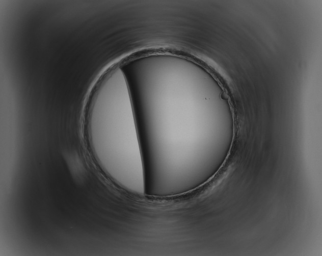 X0000099580927200805160743