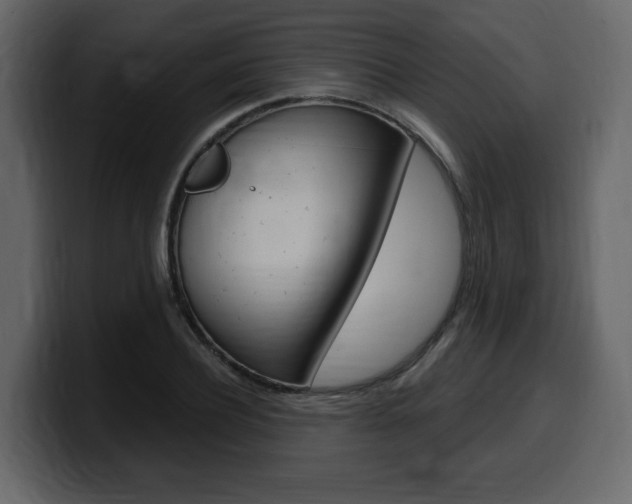 X0000099580932200805160743