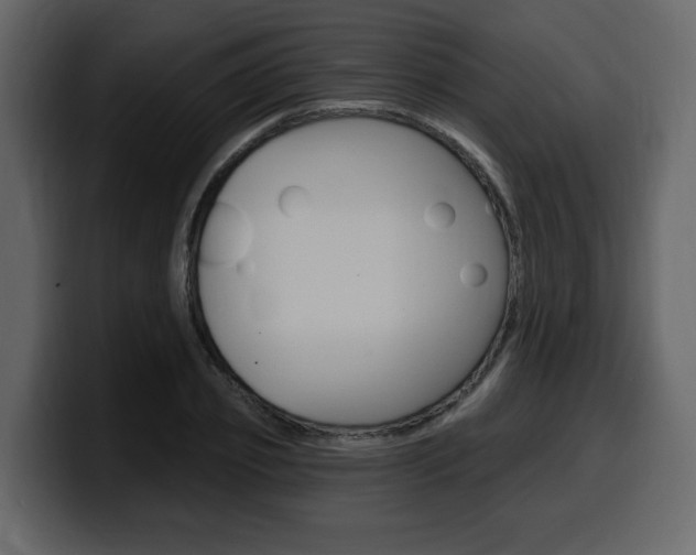 X0000099580933200805160743