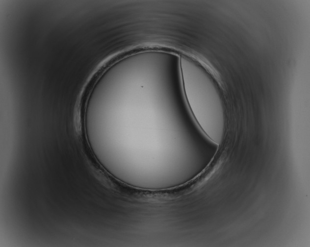 X0000099580934200805160743