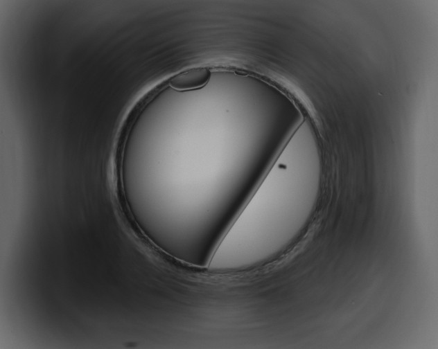 X0000099580936200805160743