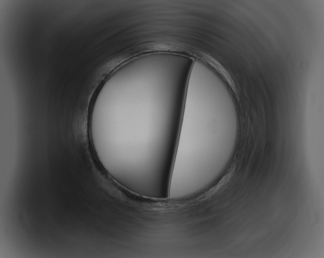 X0000099580938200805160743
