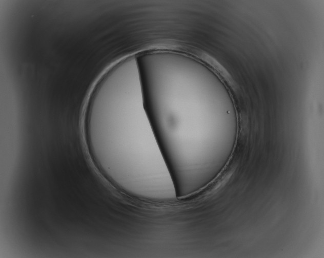 X0000099580939200805160743