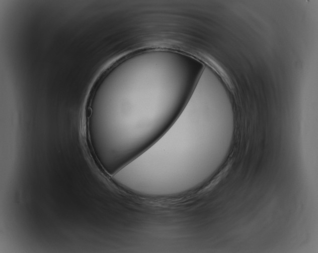 X0000099580940200805160743