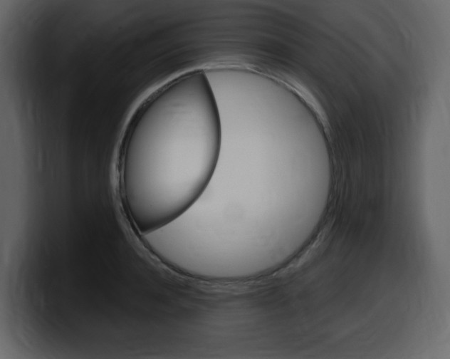 X0000099580944200805160743