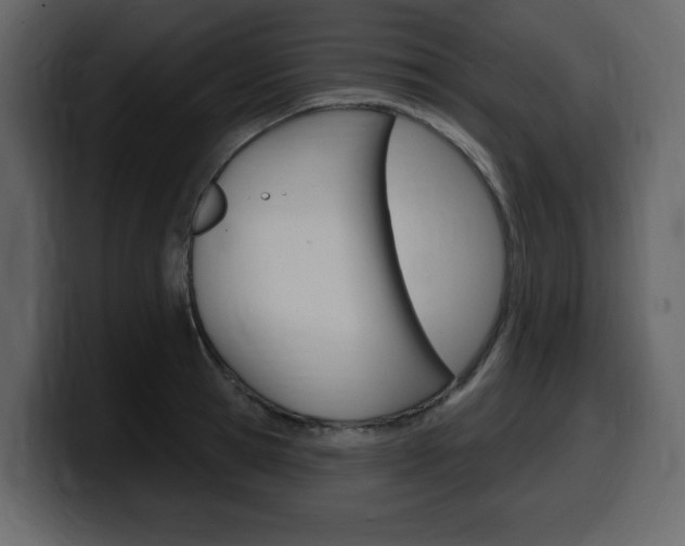 X0000099580945200805160743
