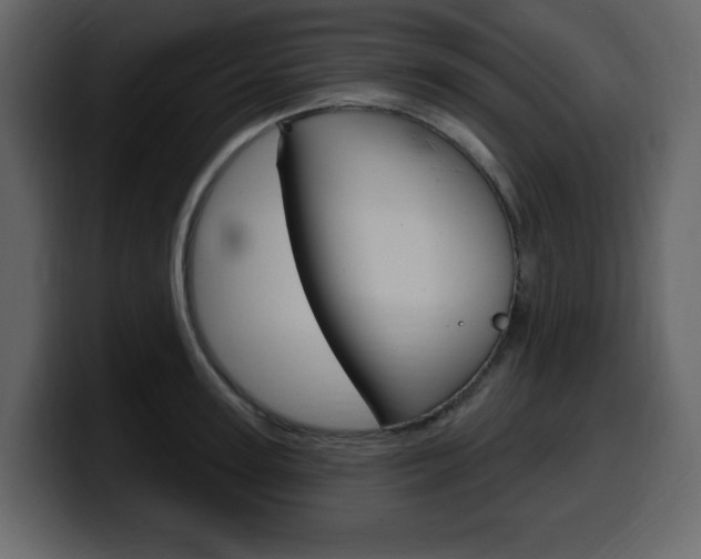 X0000099580947200805160743
