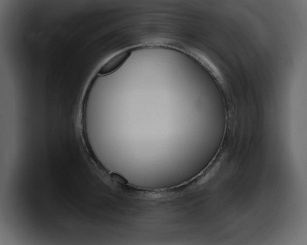 X0000099580948200805160743