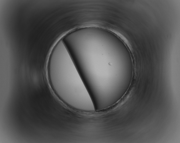 X0000099580949200805160743