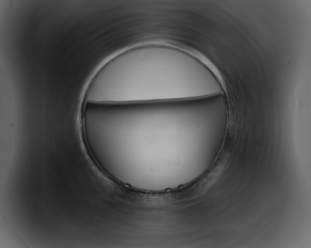 X0000099580951200805160743