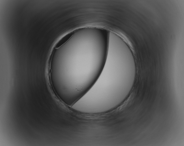 X0000099580952200805160743