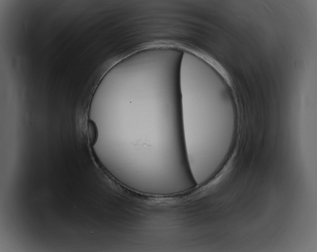 X0000099580953200805160743