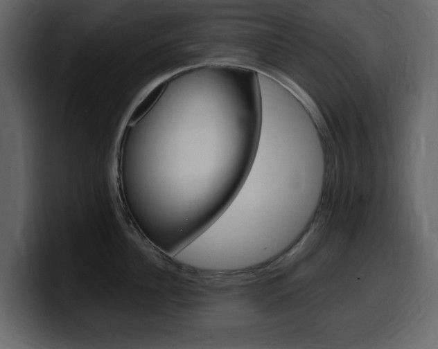 X0000099580956200805160743