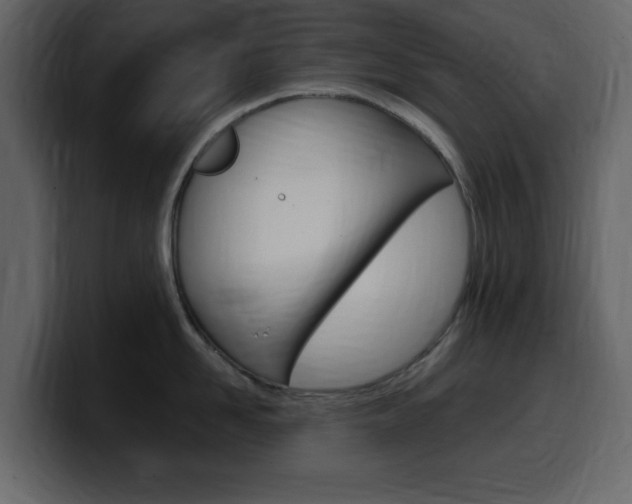 X0000099580958200805160743