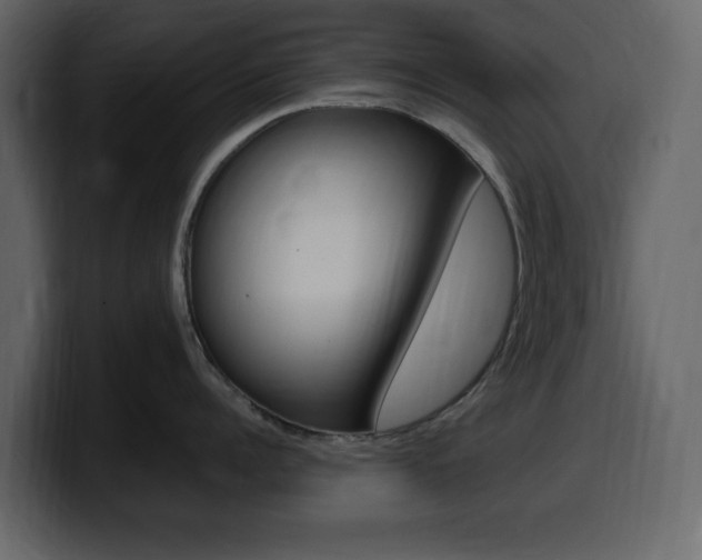 X0000099580960200805160743