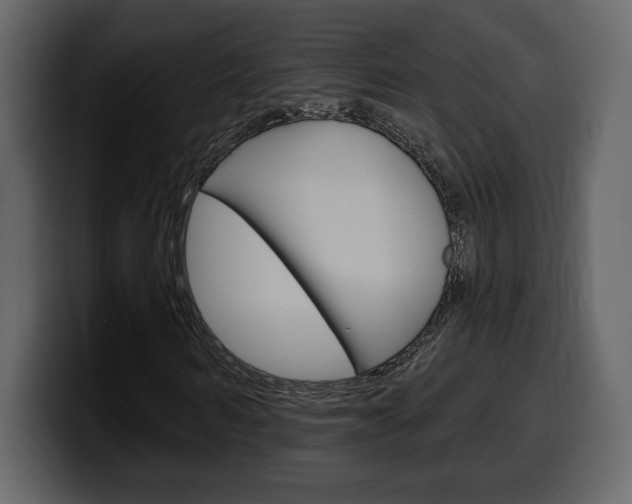 X0000099580962200805160742