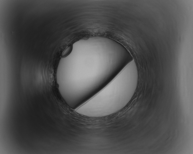 X0000099580963200805160742