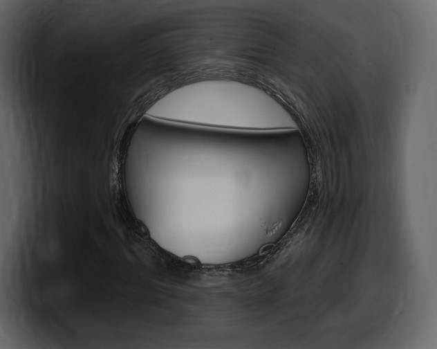 X0000099580964200805160742