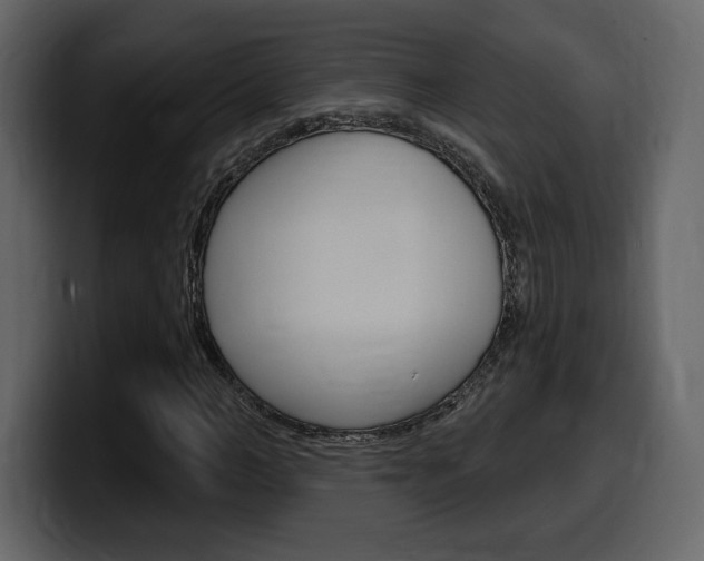 X0000099580966200805160742