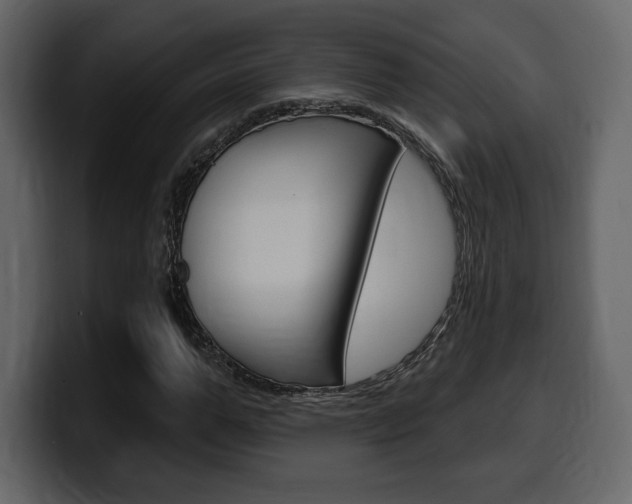 X0000099580967200805160742