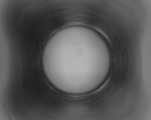 X0000099580969200805160742