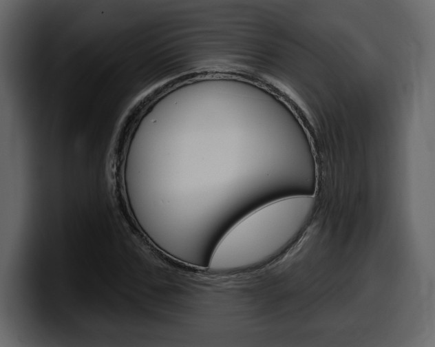 X0000099580971200805160742