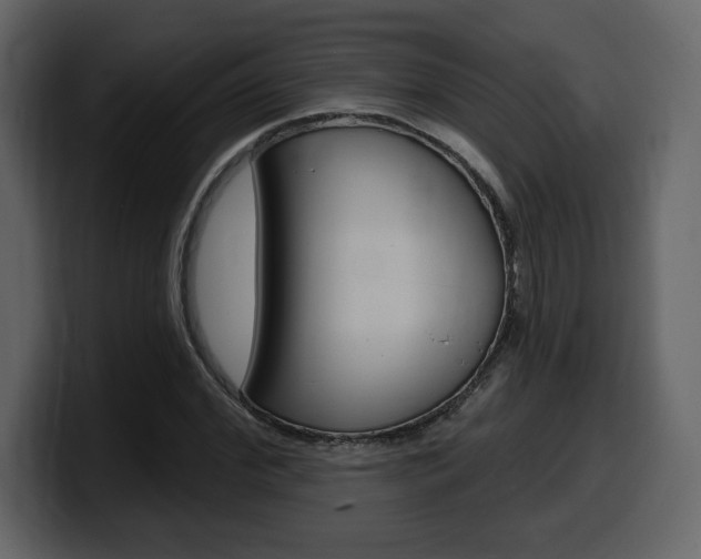 X0000099580972200805160742