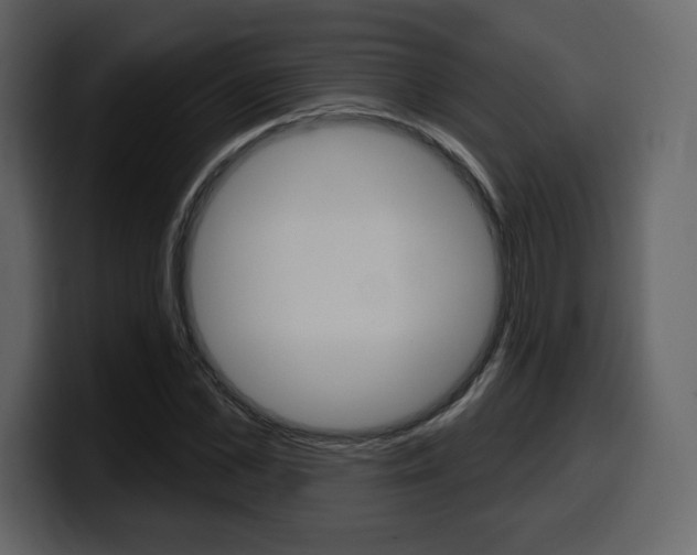 X0000099580973200805160742