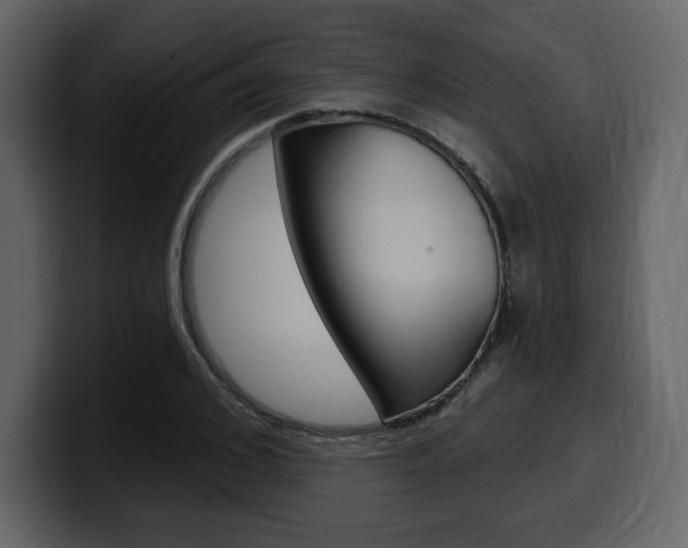 X0000099580976200805160742