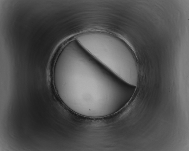 X0000099580979200805160742