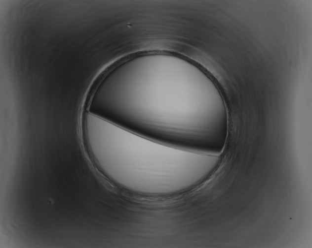 X0000099580980200805160742