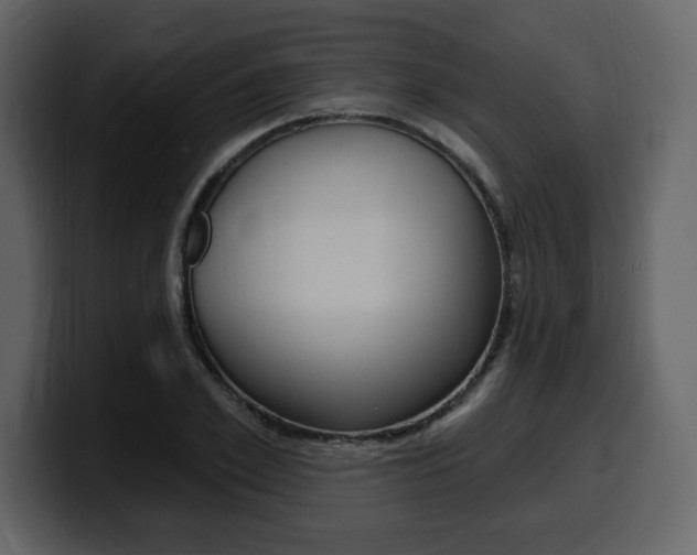 X0000099580981200805160742