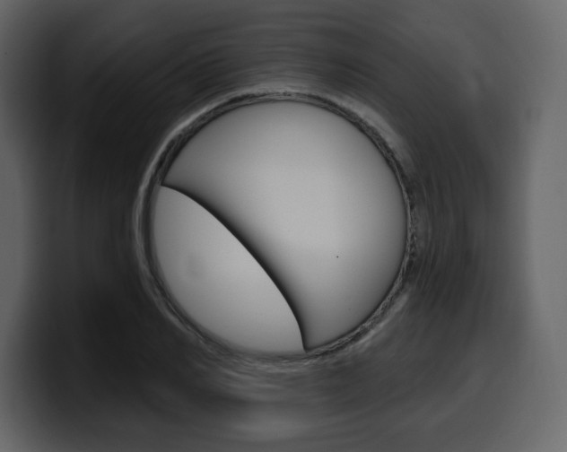 X0000099580982200805160742
