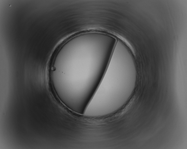 X0000099580983200805160742