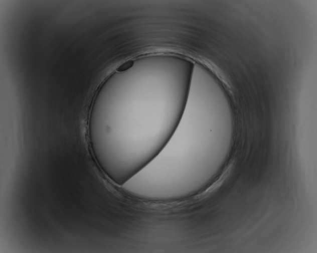X0000099580985200805160742