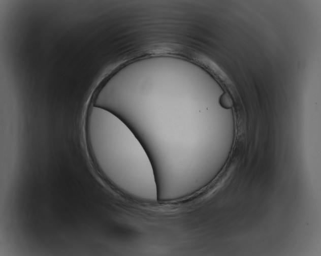 X0000099580986200805160742