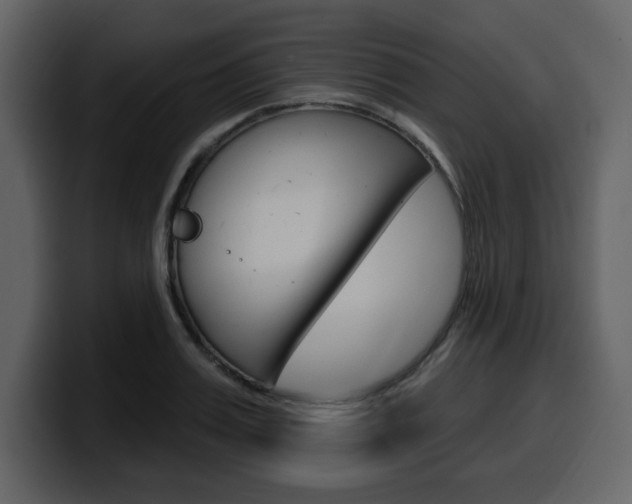 X0000099580987200805160742