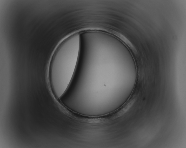 X0000099580988200805160742