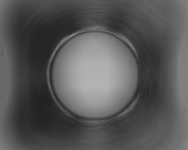 X0000099580989200805160742