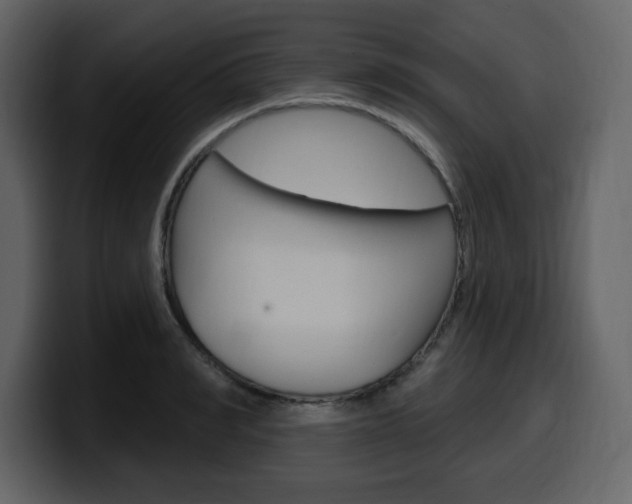 X0000099580990200805160742
