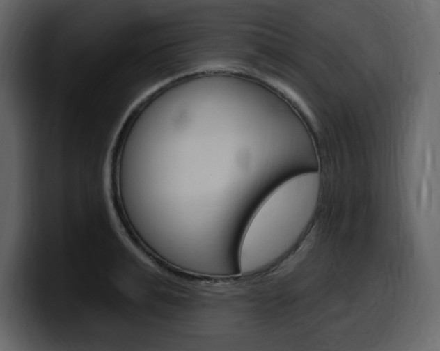 X0000099580991200805160742