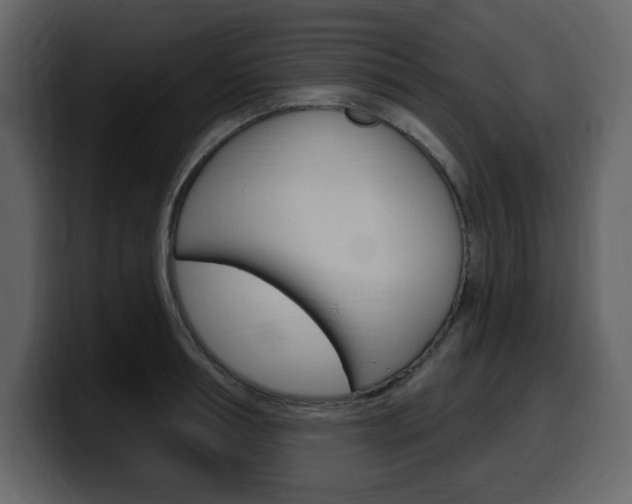 X0000099580994200805160742