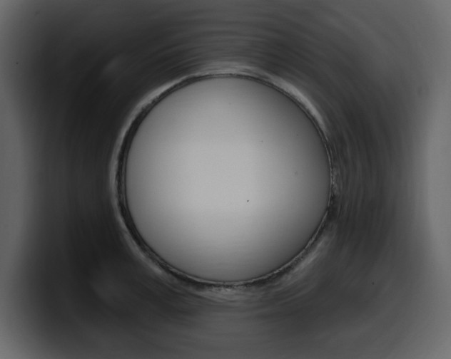 X0000099580995200805160742