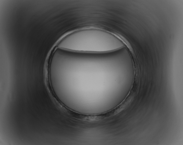X0000099581000200805160742
